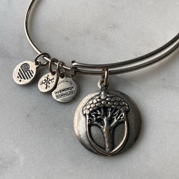 Alex and Ani unexpected miracles bracelet 2016 - Picture 2 of 3